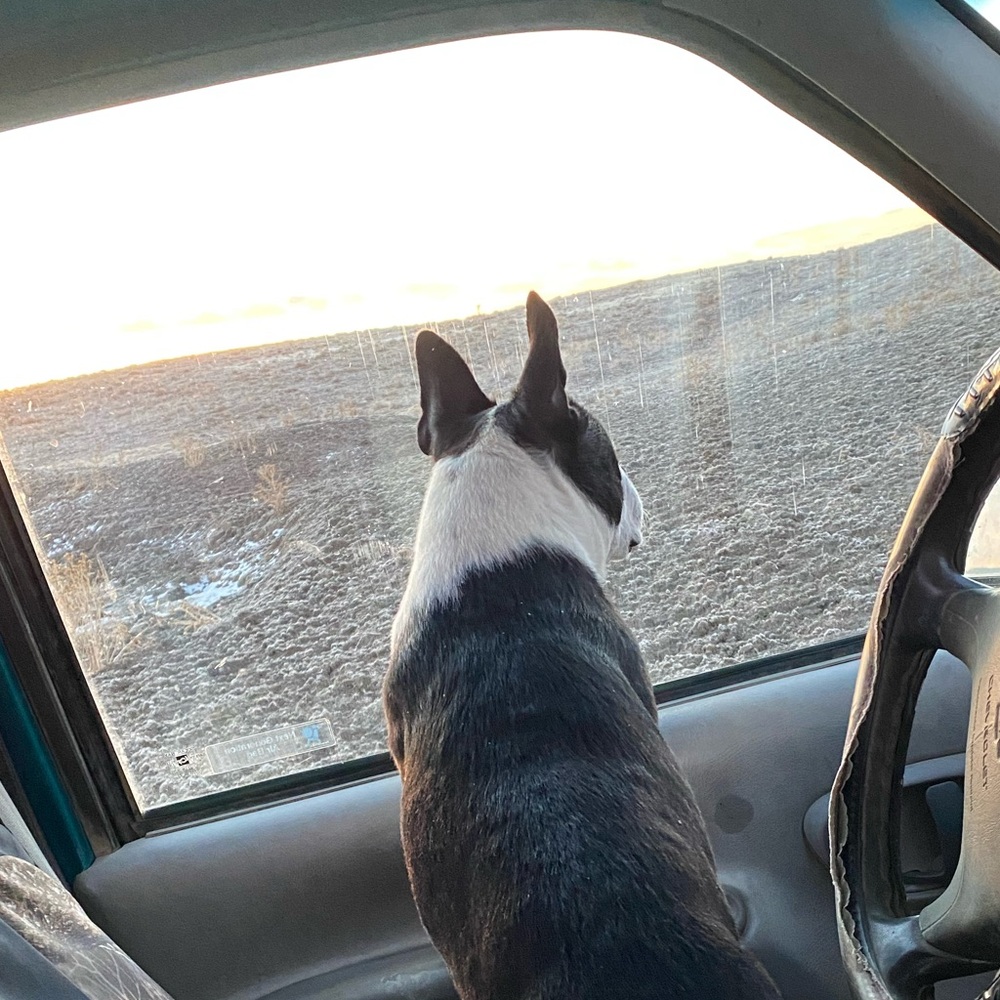 Meet your Posher, Tracey